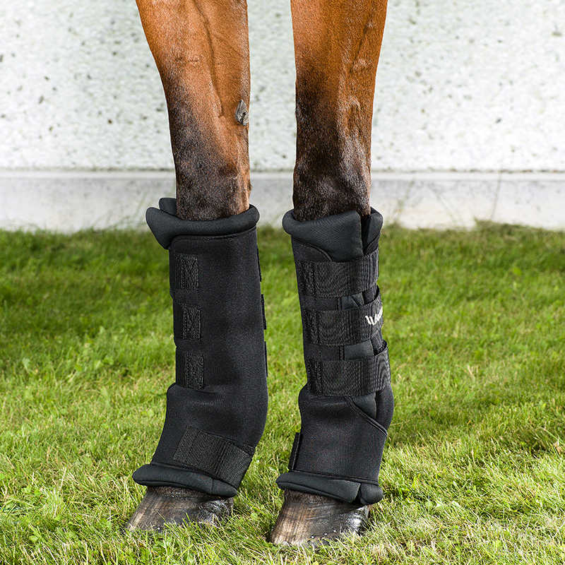Back on track - Royal Quick Wraps stallbelegg - 4