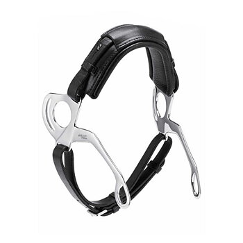 Stübben Hackamore