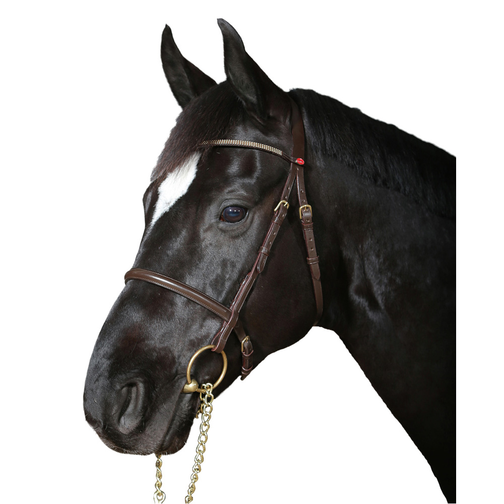 Showhodelag Cheval