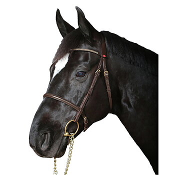 Showhodelag Cheval
