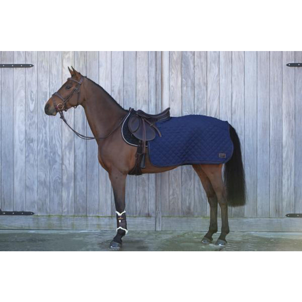 Kentucky Quarter Rug 160gr - 2