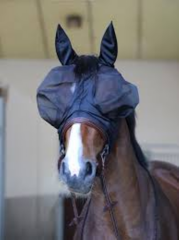 Kentucky fluemaske slim fit - 2