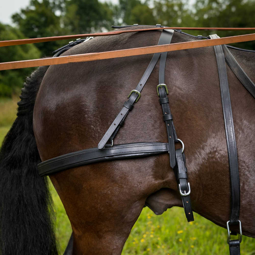 Brystsele Globus lær - 7