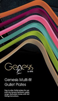 Bomjern Genesis og Heimer