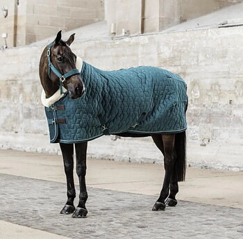 Kentucky Show Rug Velvet Emerald