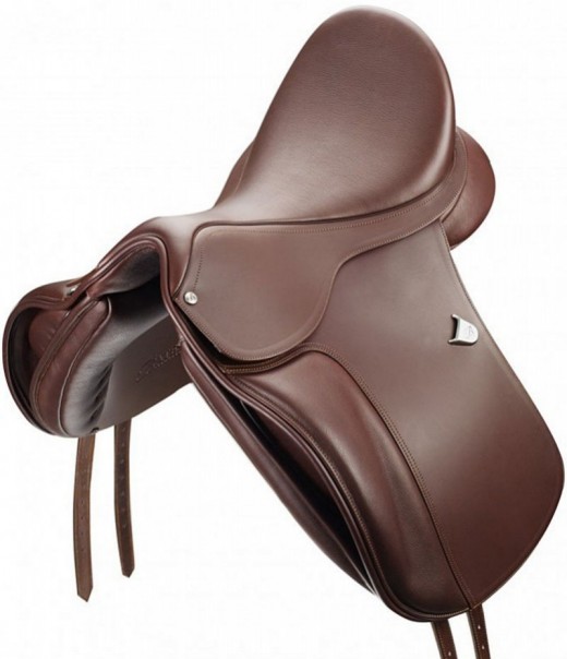 Bates Dressage Cair - 3