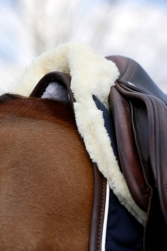 Kentucky Sheepskin Half Pad Absorb Navy - 3