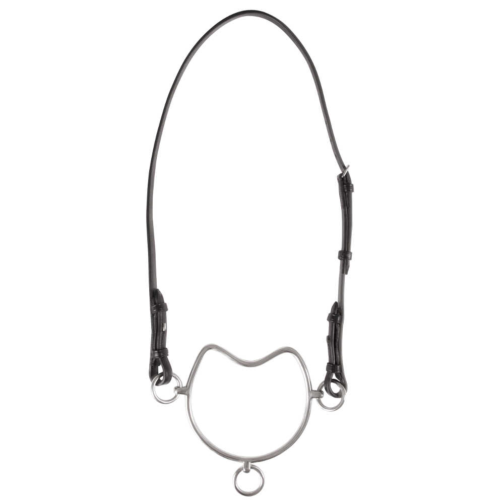 Hingste bitt - 2