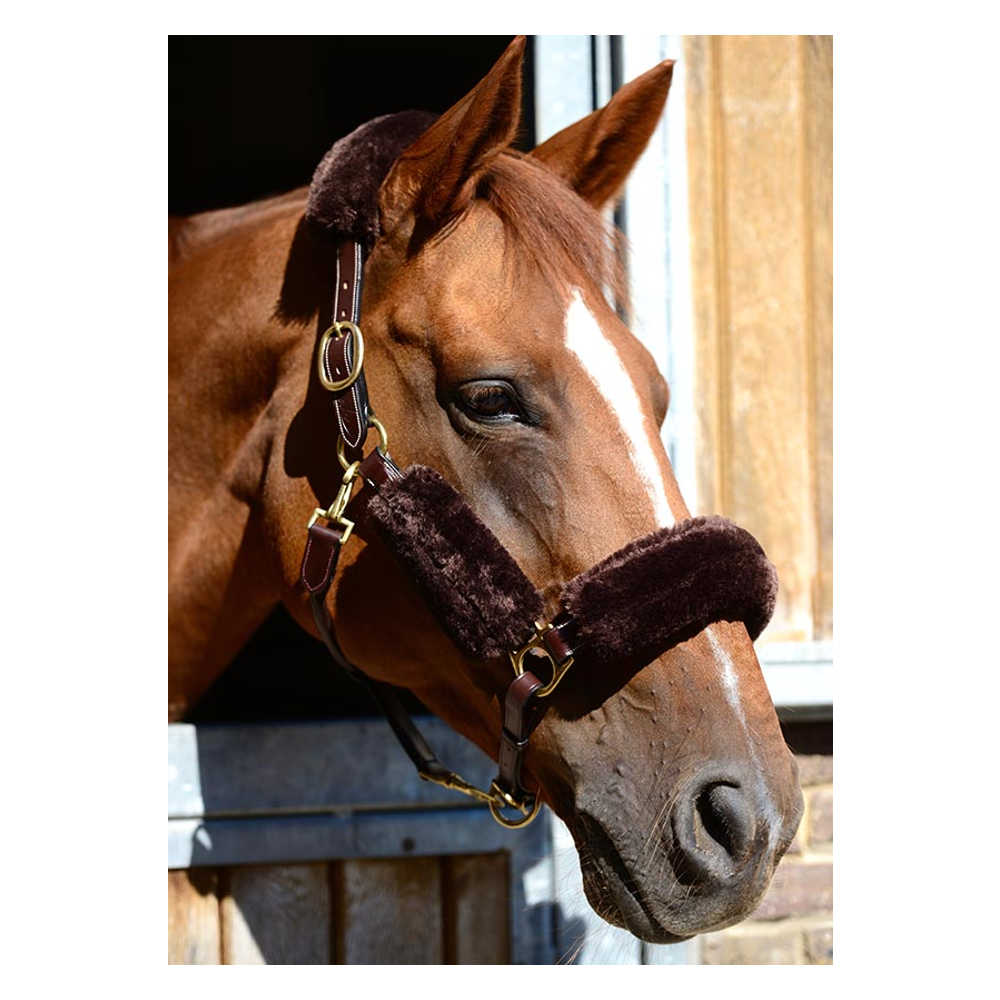 Kentucky Sheepskin Halter - 4