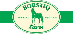 Borstiq midjebørste MixMex naturfiber med innvendig myk del - 2