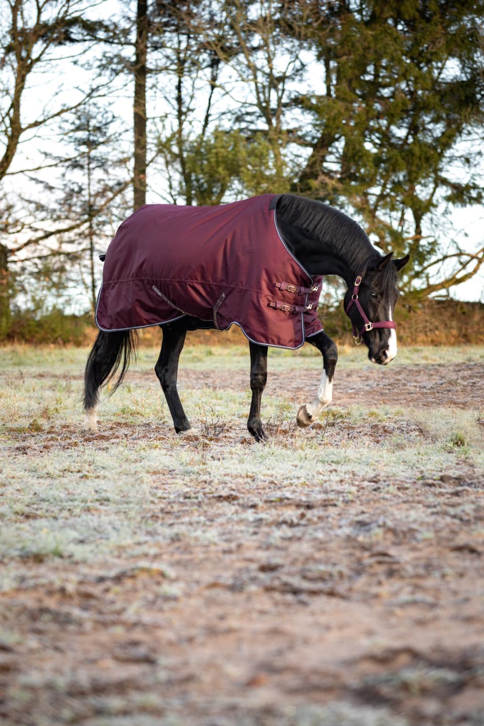HorseGuard Landon 1200D 200g Turnout dekken standard hals Navy 105-165cm - 3