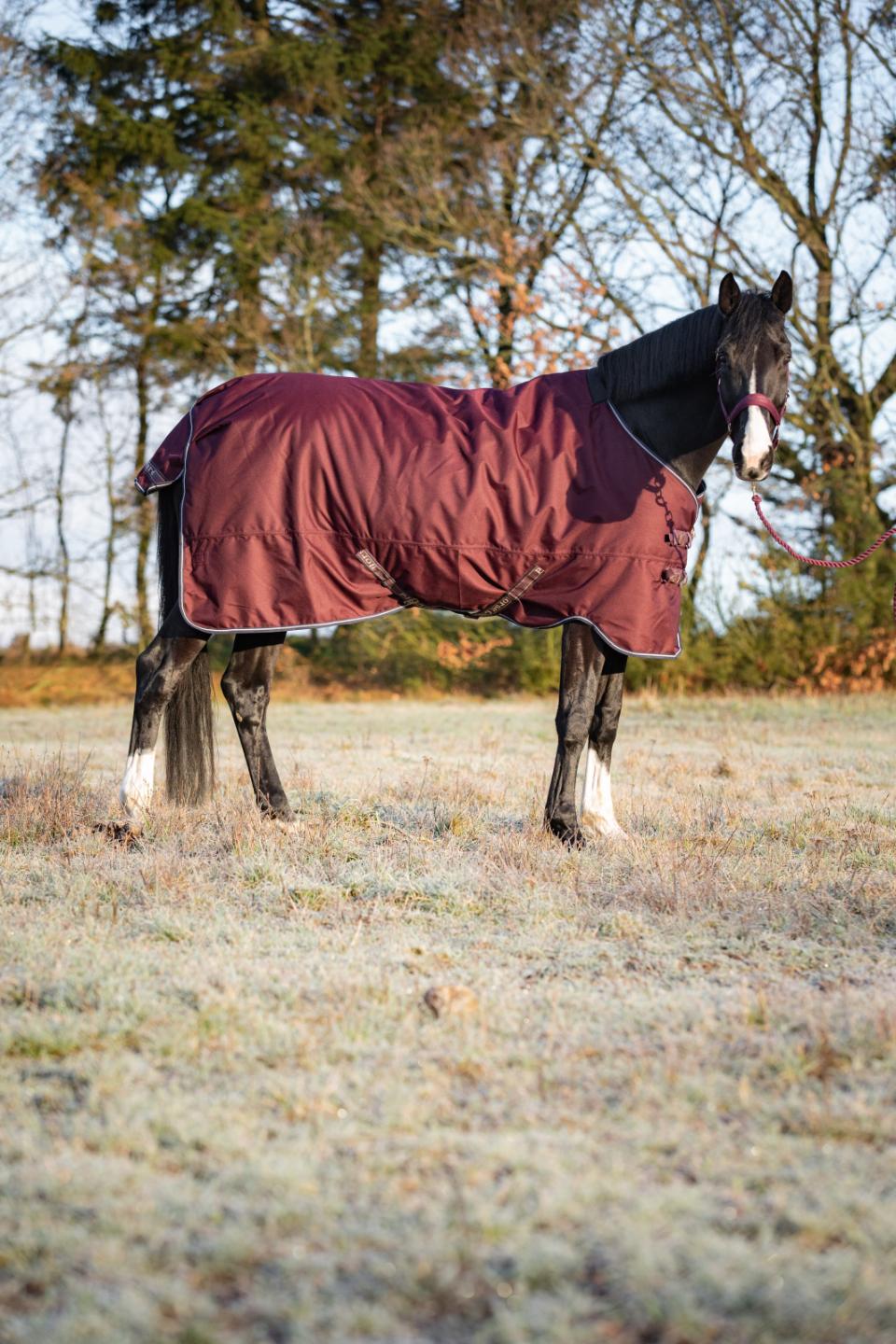 HorseGuard Landon 1200D 200g Turnout dekken standard hals Navy 105-165cm - 4