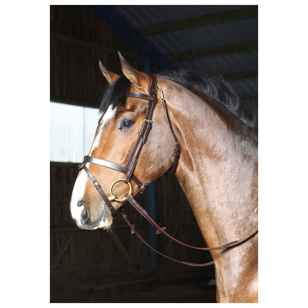Optimum Leslie Hodelag  - 3