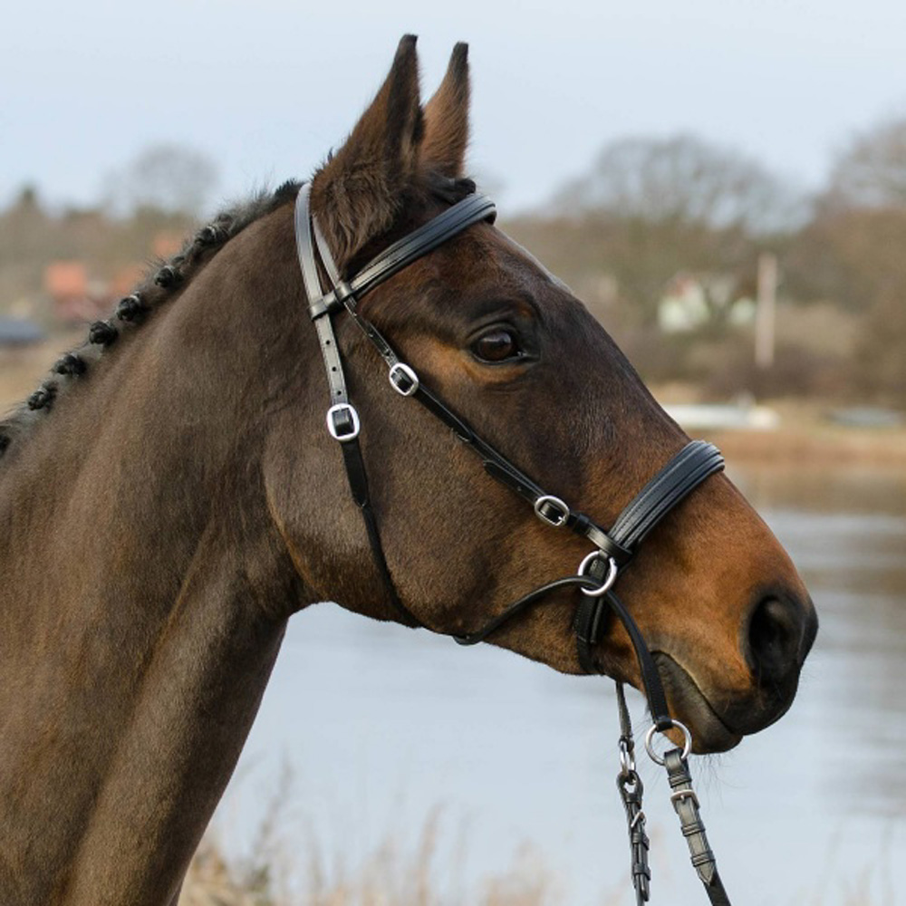 Globus Winnetou bittløst hodelag - 2