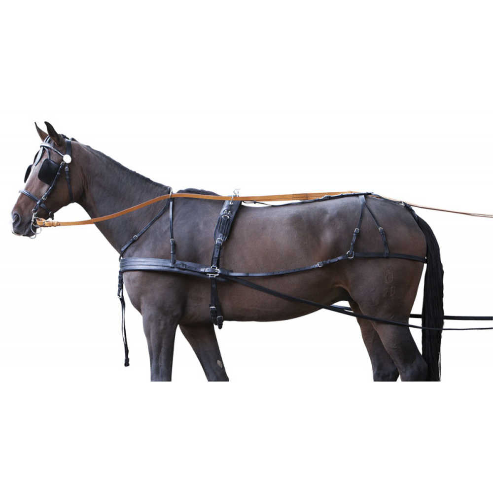 Brystsele Pfiff Standard PARSELER miniminishetland - 2