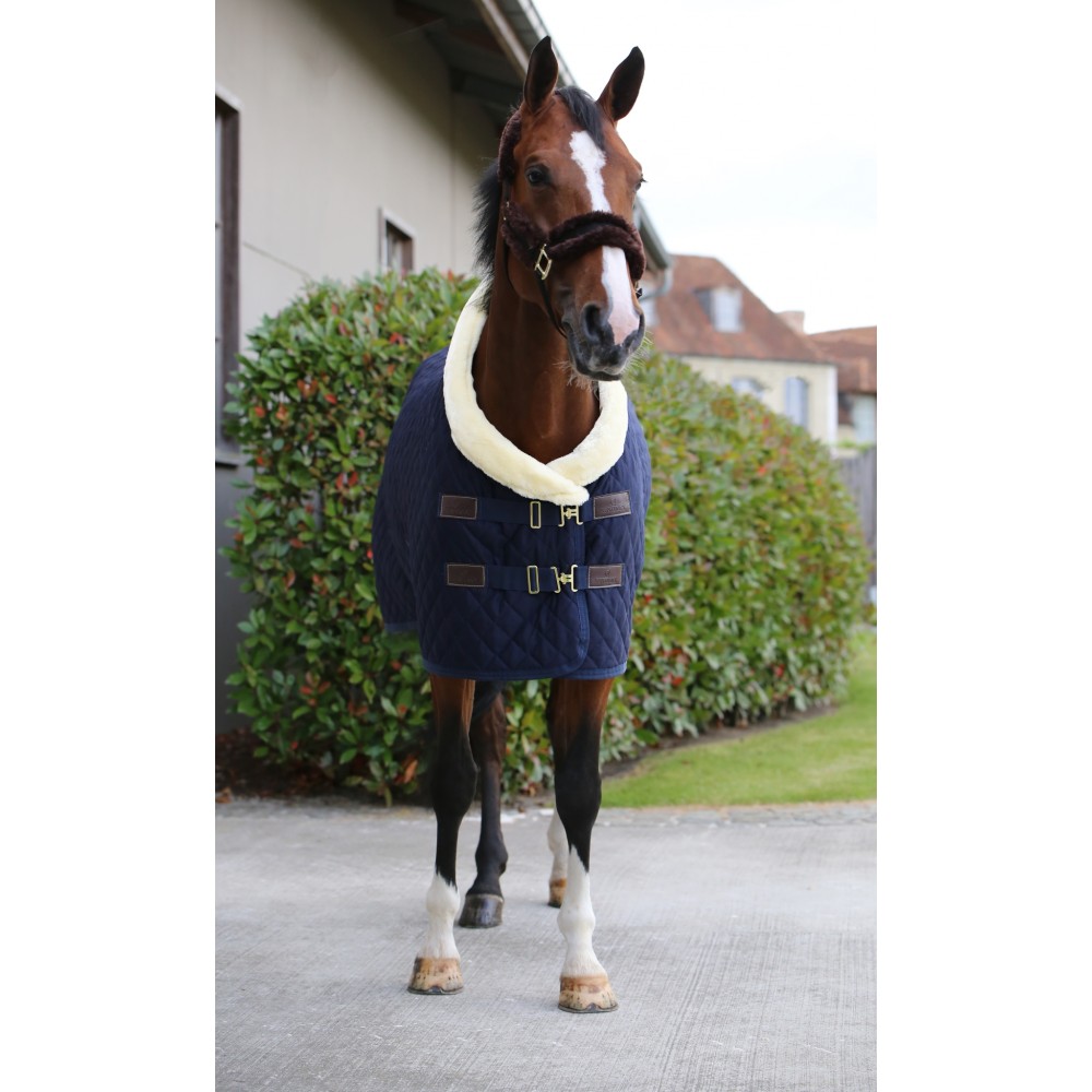 Kentucky Show Rug 160gr - 3