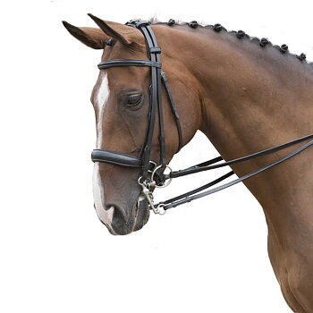 PDS Carl Hester kandar hodelag  i amerikansk lær inkl 2 tøyler