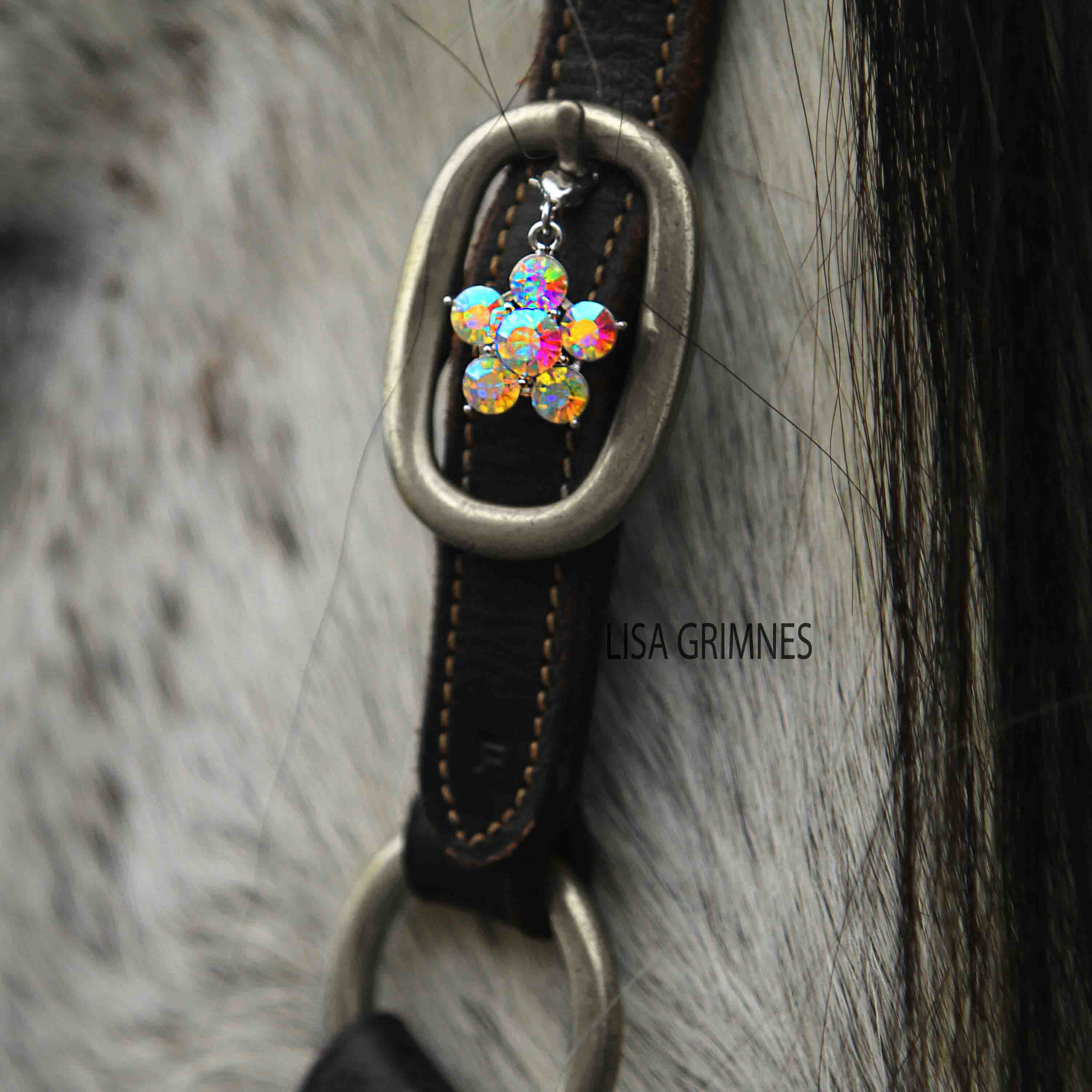 Kentucky Lucky Charms - 6
