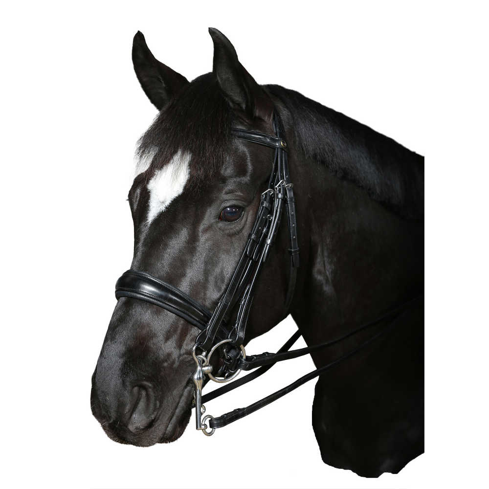 Horse Guard Ergo kandar engelsk lær med tøyler