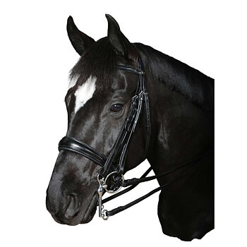 Horse Guard Ergo kandar engelsk lær med tøyler