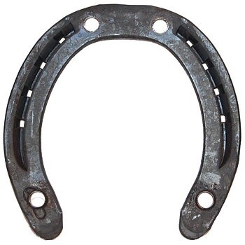 Ridesko til islandshest 10 mm med 4 broddhull