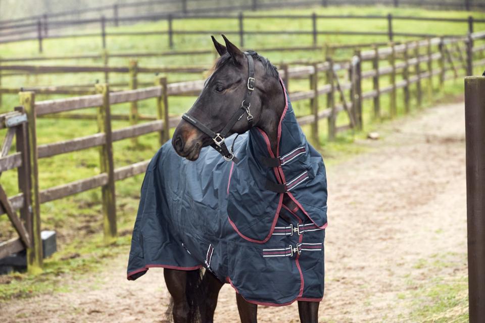 HorseGuard 200g vinterdekken inkl avtagbar hals - 3