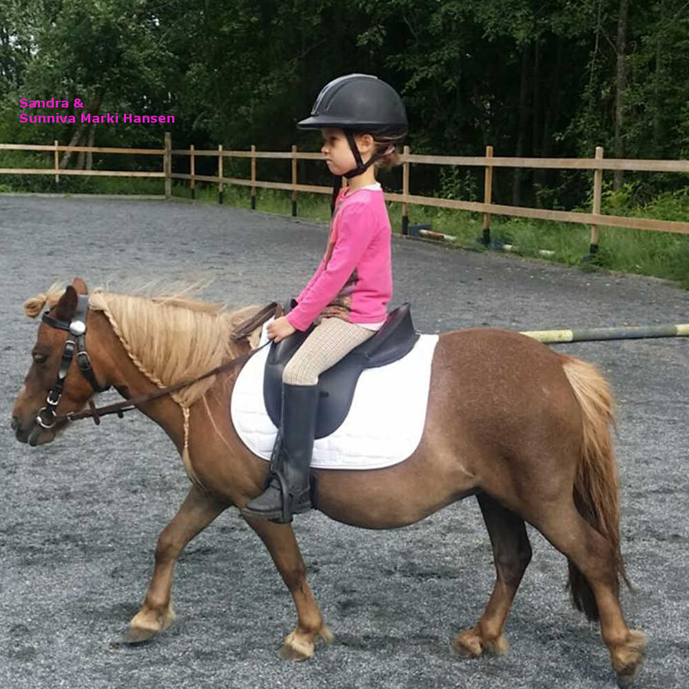 BESTSELGER! Wintec Kids ponnisal - 6