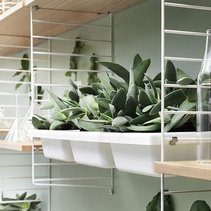 String Bowlplan 78x30 White - 4