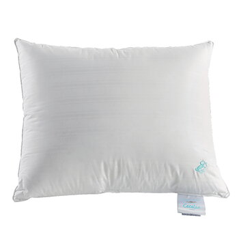 Cecilia down pillow Low 