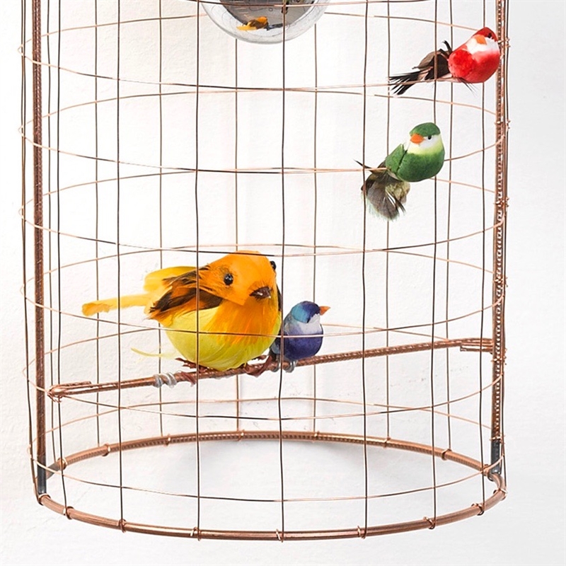 Bird lamp Applique Volière wall lamp 15cm  - 4