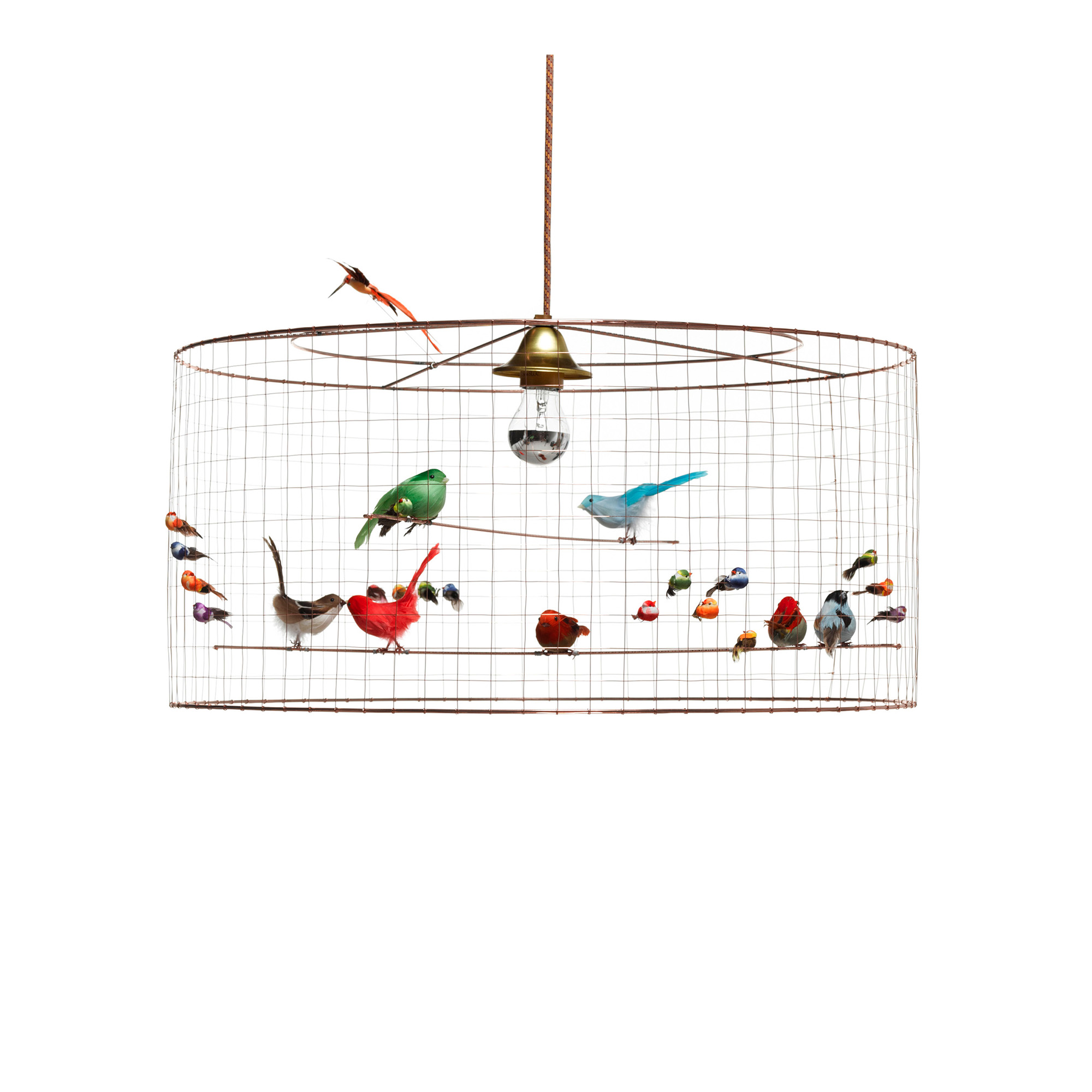 Mathieu challières online bird lamp