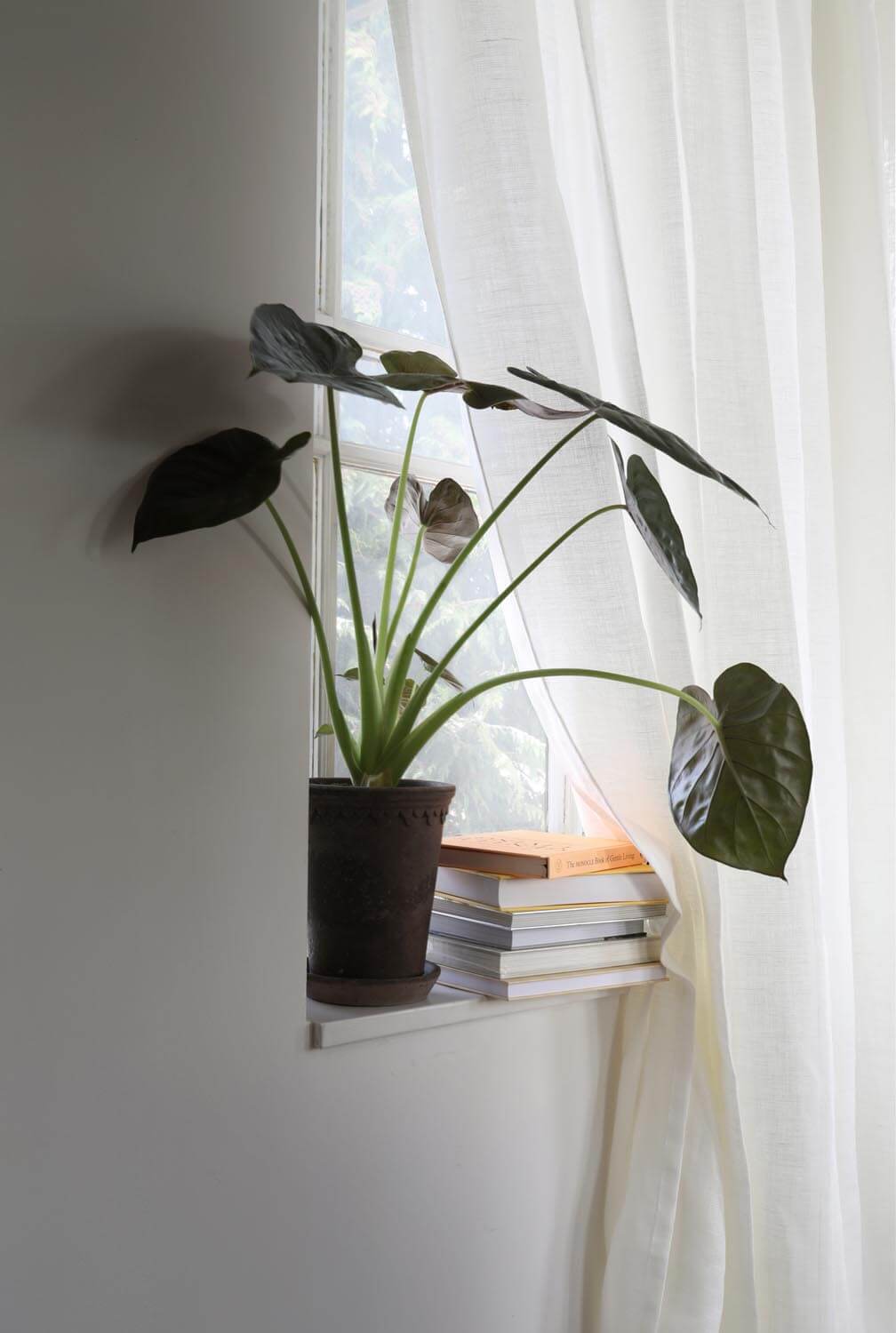 Gardin Alice Linne dubbel bredd Vit Höjd 290 cm