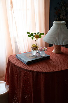 Duk Broderie Anglaise Tegelröd