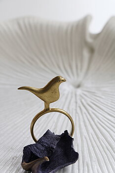 Ring fågel i mässing
