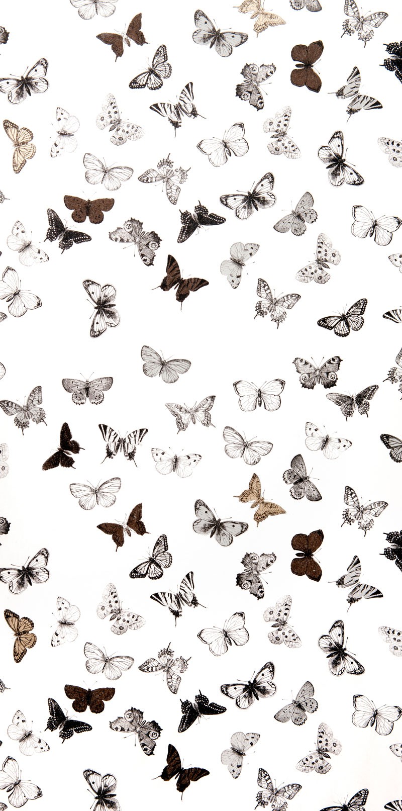 Tapet Butterfly White/Black