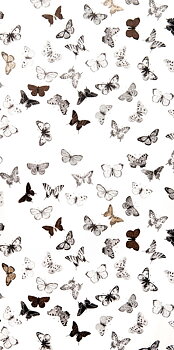 Tapet Butterfly White/Black