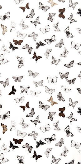 Tapet Butterfly White/Black