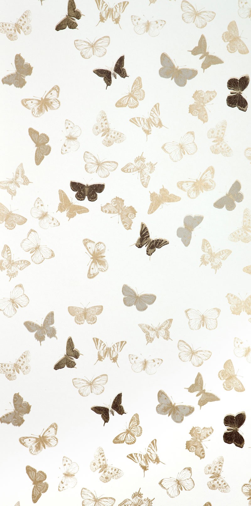Tapet Butterfly White/Brass - 2