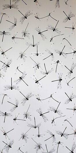 Tapet Dragonfly White