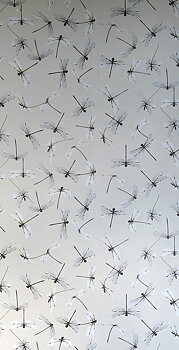 Tapet Dragonfly Natural