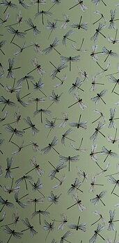 Tapet Dragonfly Celadon