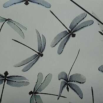 Tapet Dragonfly Jade