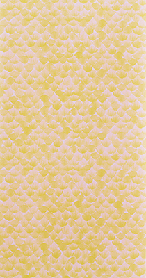 Tapet Poppy sorbet - 2