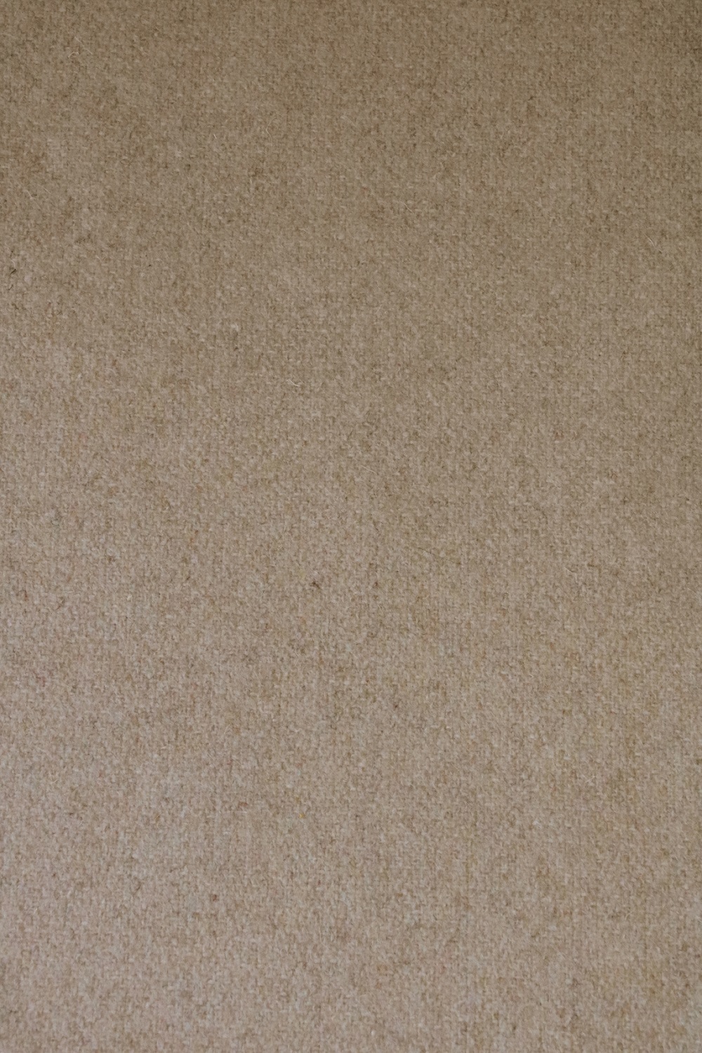 Gardin Retreat återvunnen ull Porslinsbeige enkel bredd  Höjd 250 cm - 2