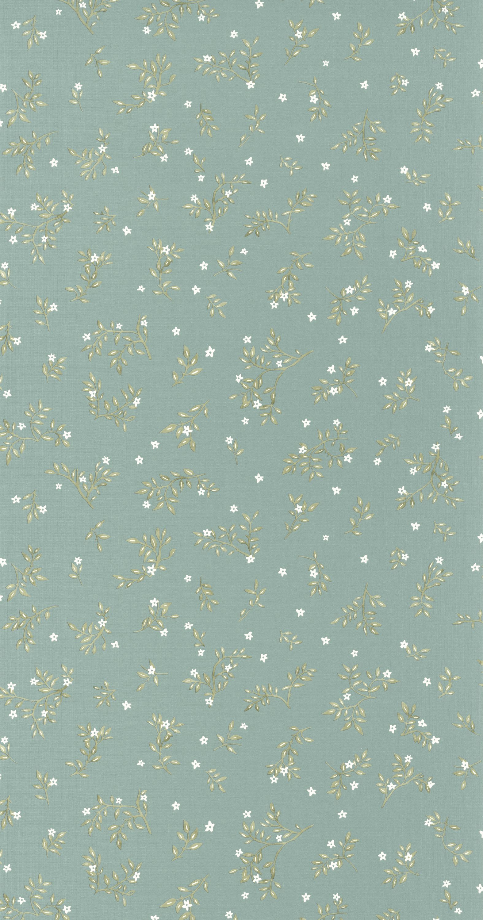 Callisto - KBO103646090