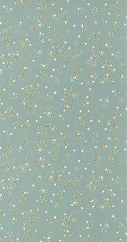 Callisto - KBO103646090