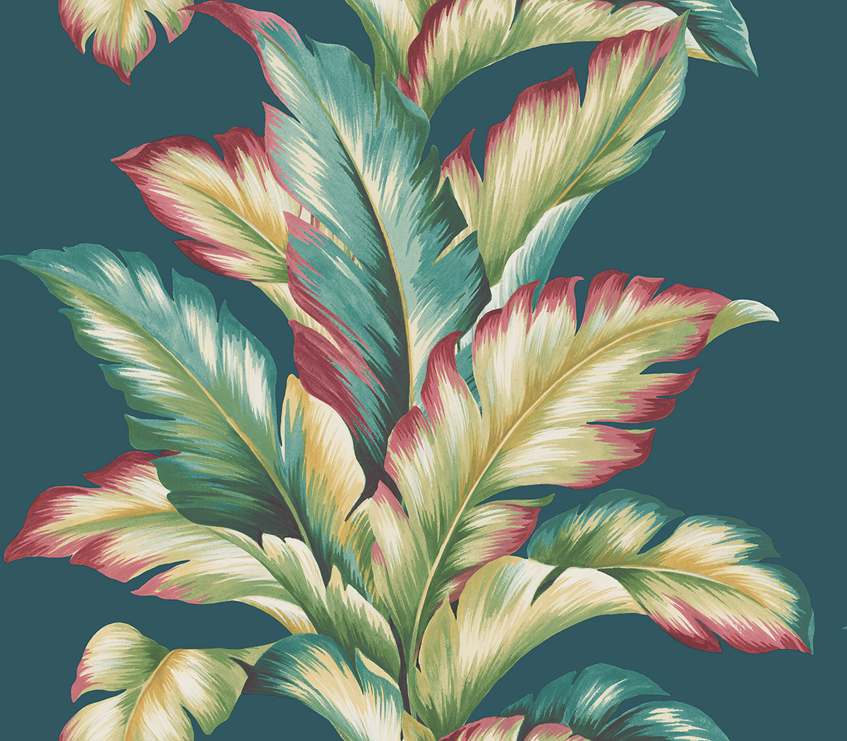 Maui Maui - TP81214