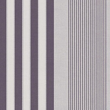 Stripes+ - 377102