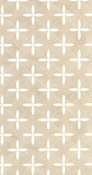 Cement Tiles - KBO106900132