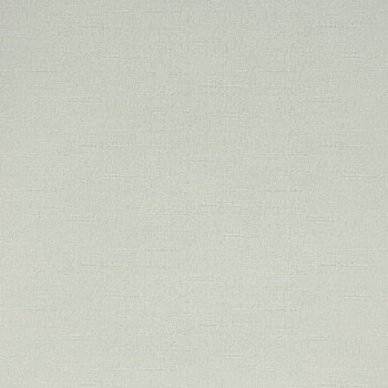 Silva - 2975-3